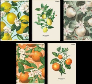 ZESZYT TOP SUMMER A5 60K.LINIA /10/