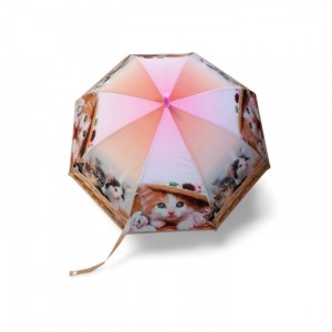 D43694 / PARASOL 8293