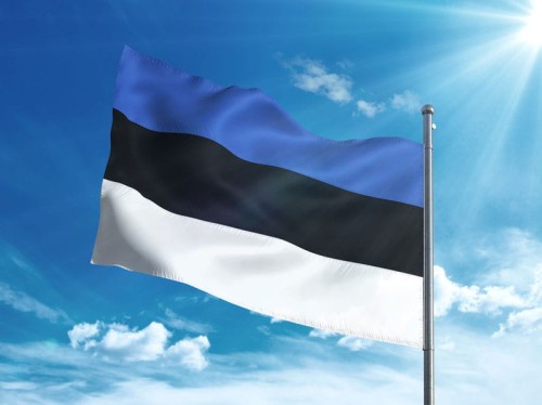 Estonia - Flaga Państwowa (różne wymiary)