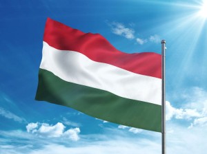 Węgry - Flaga Państwowa (różne wymiary)