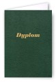 Dyplom - Okładka Quasi "złocona skóropodobna" z kartonu DB008 - kolor zielony