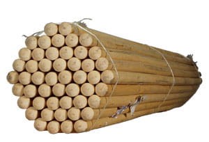 Drzewiec flagowy sosnowy naturalny 2 m (1 szt.) 